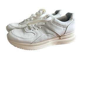NEW Everlane The Trainer genuine leather sneaker size 8